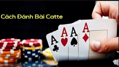 Catte, cách chơi game bài Catte toàn thắng cho người mới