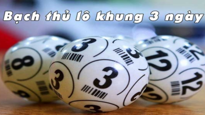 Nuôi lô bạch thủ khung 3 ngày là gì và phương pháp soi